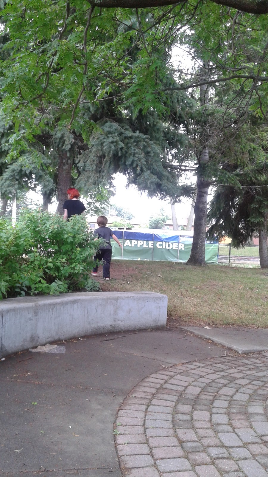 Gracedale Park | 176 Gracedale Blvd, North York, ON M9L 2C1, Canada | Phone: (416) 392-2489