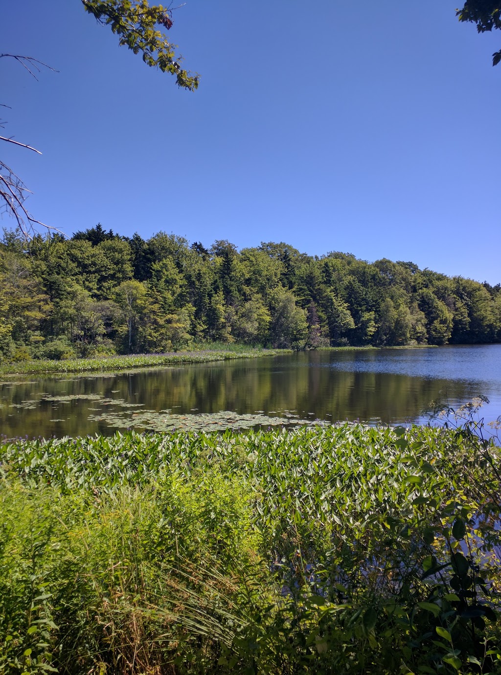 Oat Hill Lake Park | Dartmouth, NS B2Y, Canada