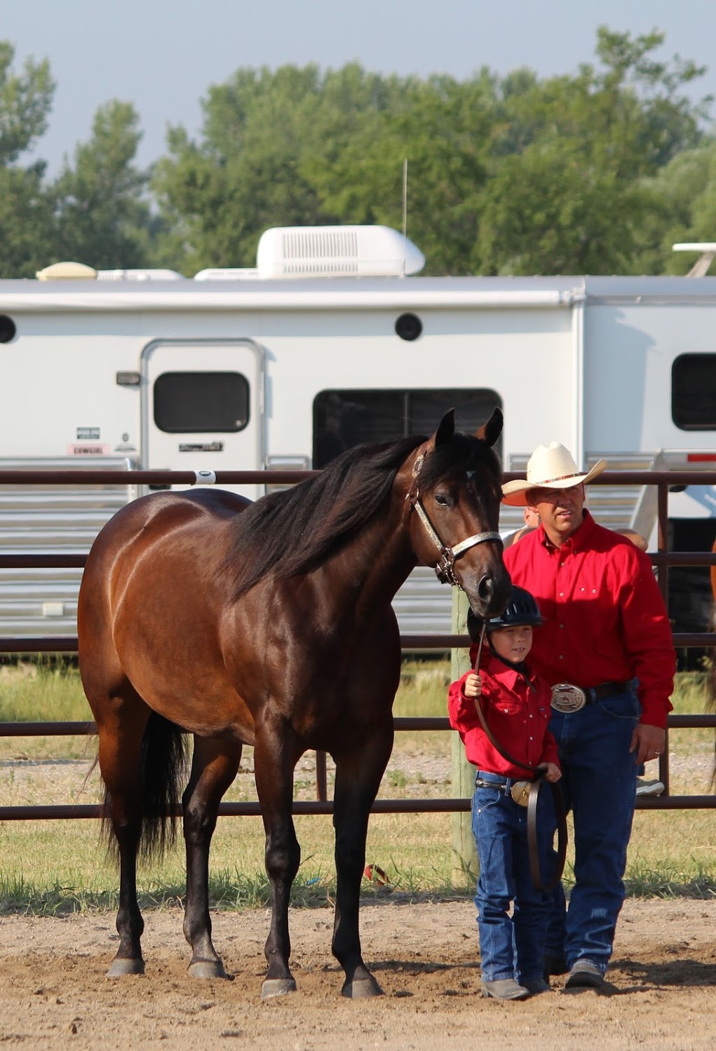 Helstrom Performance Horses | 960 Komarno Rd, Winnipeg Beach, MB R0C 3G0, Canada | Phone: (204) 389-3401