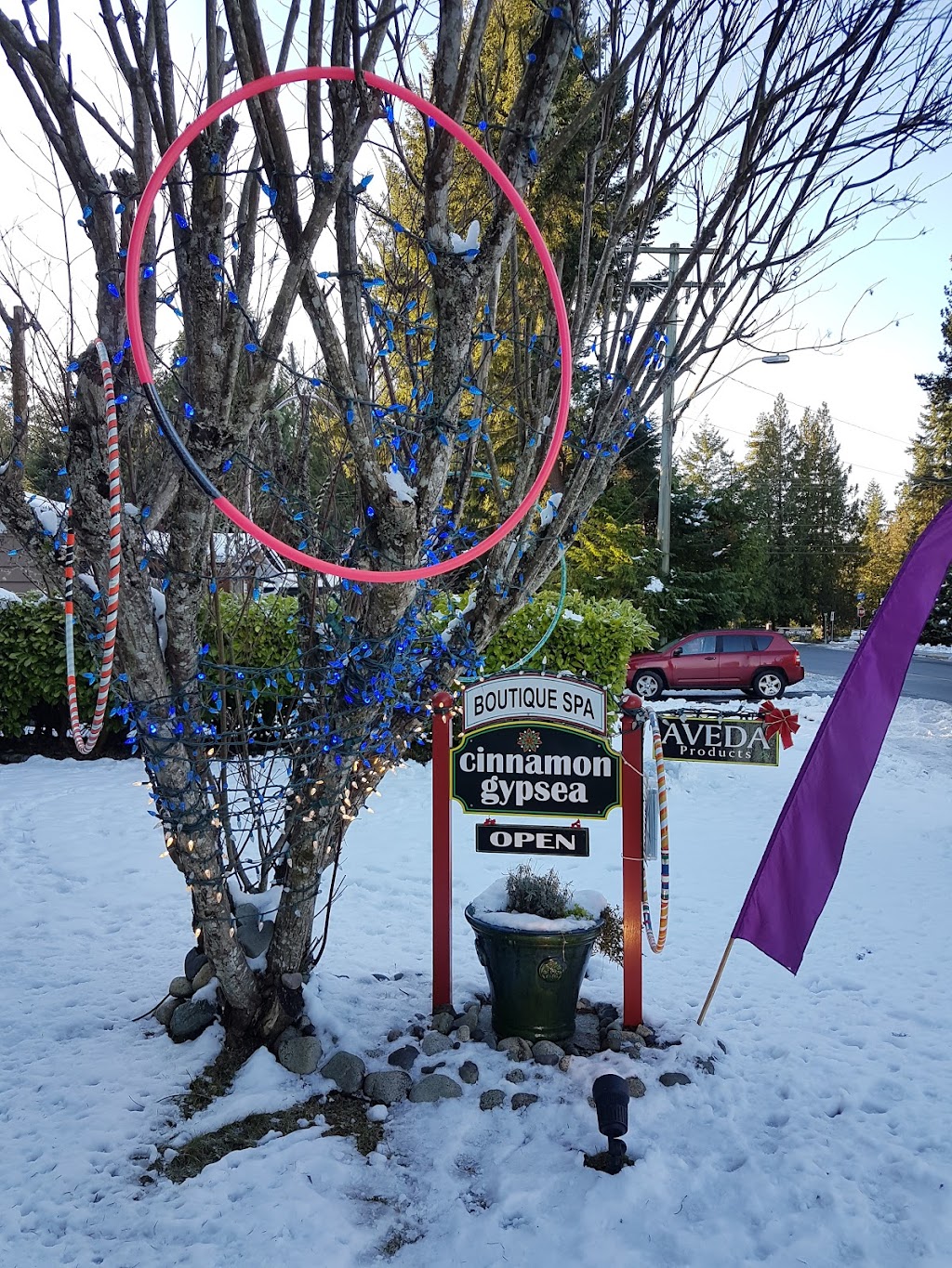 Cinnamon Gypsea | 222 Fern Rd W, Qualicum Beach, BC V9K 1S4, Canada | Phone: (250) 246-7838