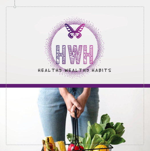 Healthy Wealthy Habits with Dana Green Remedios | 258 6th St #806, New Westminster, BC V3L 0G6, Canada | Phone: (778) 322-9270