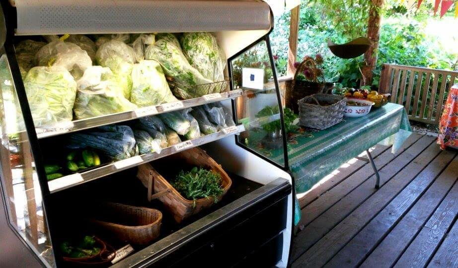 Full Bloom Farm | 2330 Tuttle Ln, Lummi Island, WA 98262, USA | Phone: (360) 758-7173