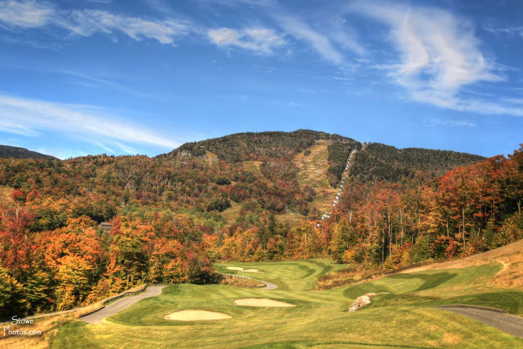 TeenyTinyCottage | 209 Peninsula Dr, Eden Mills, VT 05653, USA | Phone: (802) 730-5817