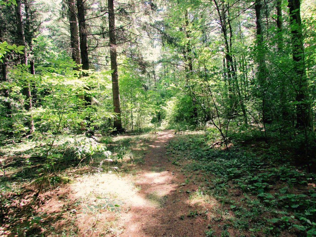 Bond Tract | 6765 Concession 1, Puslinch, ON N0B 2J0, Canada | Phone: (519) 621-2761
