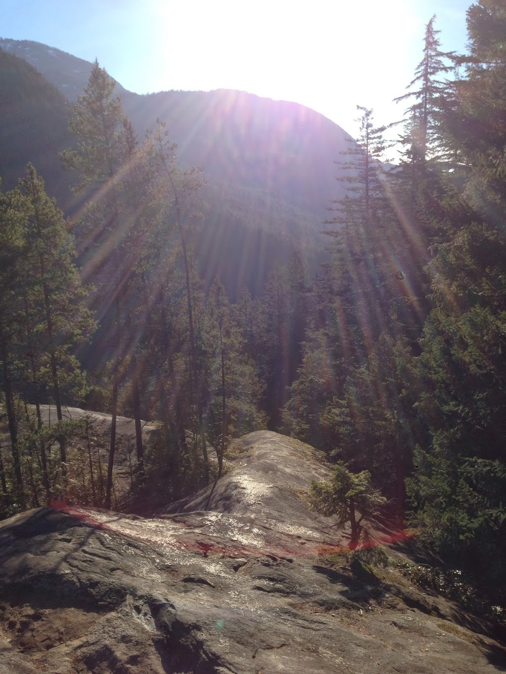 Stawamus Elementary | 38030 Clarke Dr, Squamish, BC V8B 0A5, Canada | Phone: (604) 892-5904