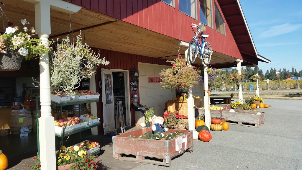 The Peach Pitt | 9701 Jones Flat Rd, Summerland, BC V0H 1Z3, Canada | Phone: (778) 516-7003