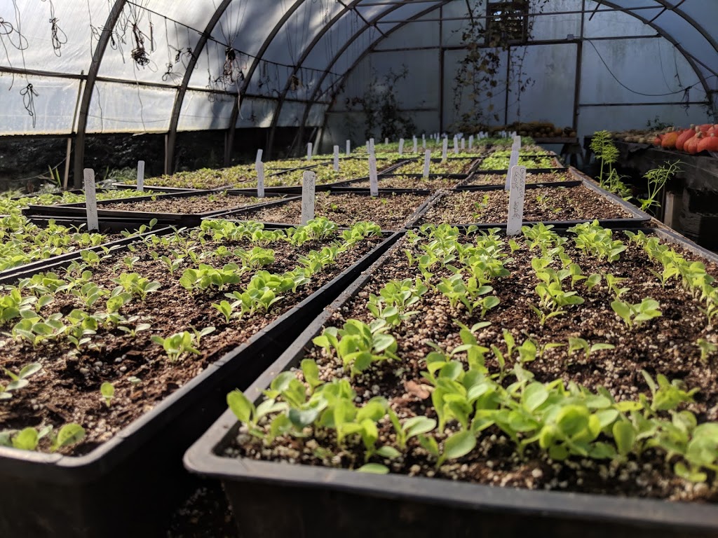 Glorious Organics Co-op | 1374 256 St, Aldergrove, BC V4W 2J4, Canada | Phone: (604) 857-1400