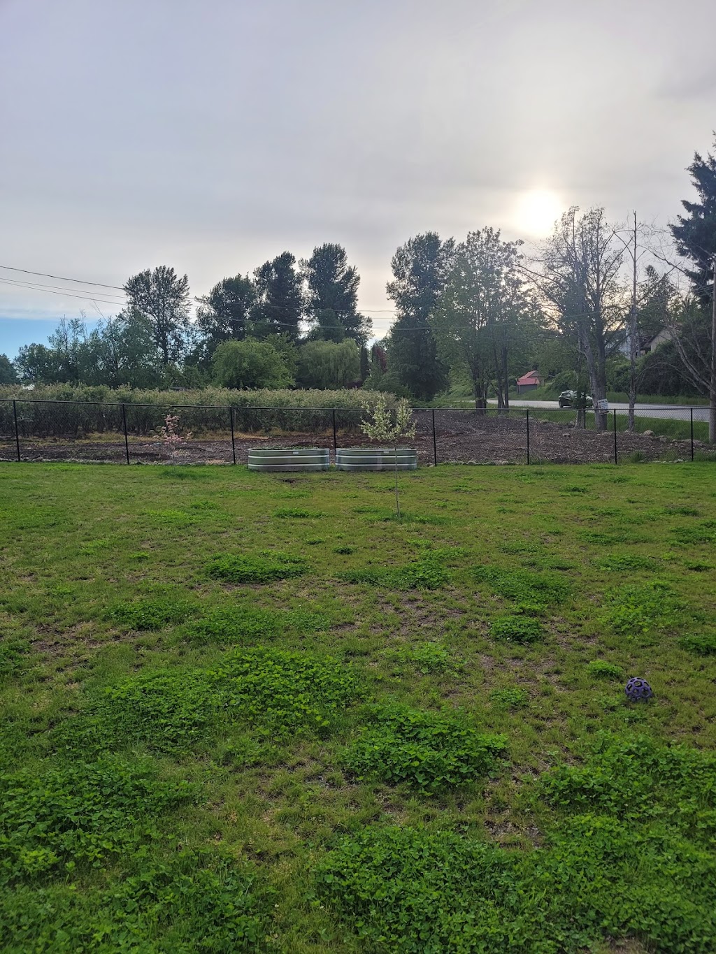 Jai Farm | 29282 Huntingdon Rd, Abbotsford, BC V4X 1S7, Canada | Phone: (778) 245-4087