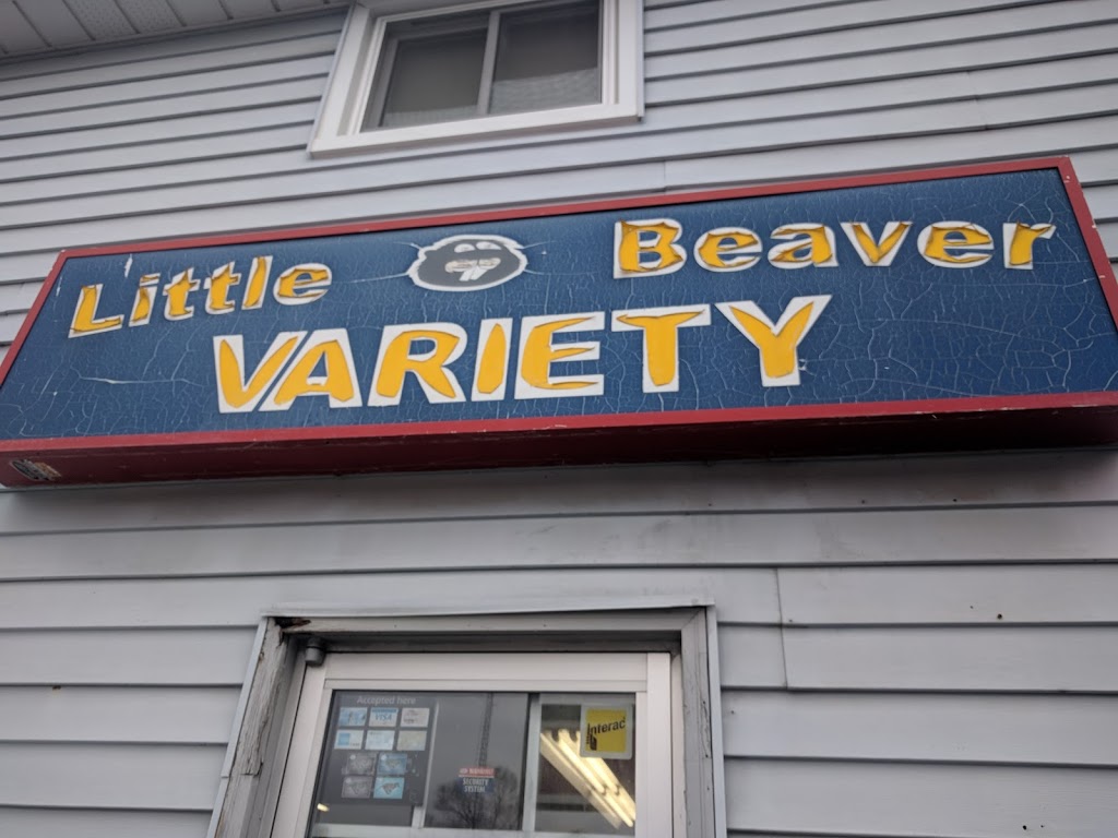 Little Beaver Variety | 11548 Longwoods Rd, Delaware, ON N0L 1E0, Canada | Phone: (519) 652-0977