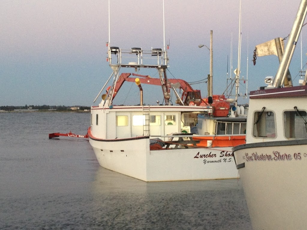 Dredge Doctor | 2896 NS-4, Debert, NS B0M 1G0, Canada | Phone: (902) 662-2234