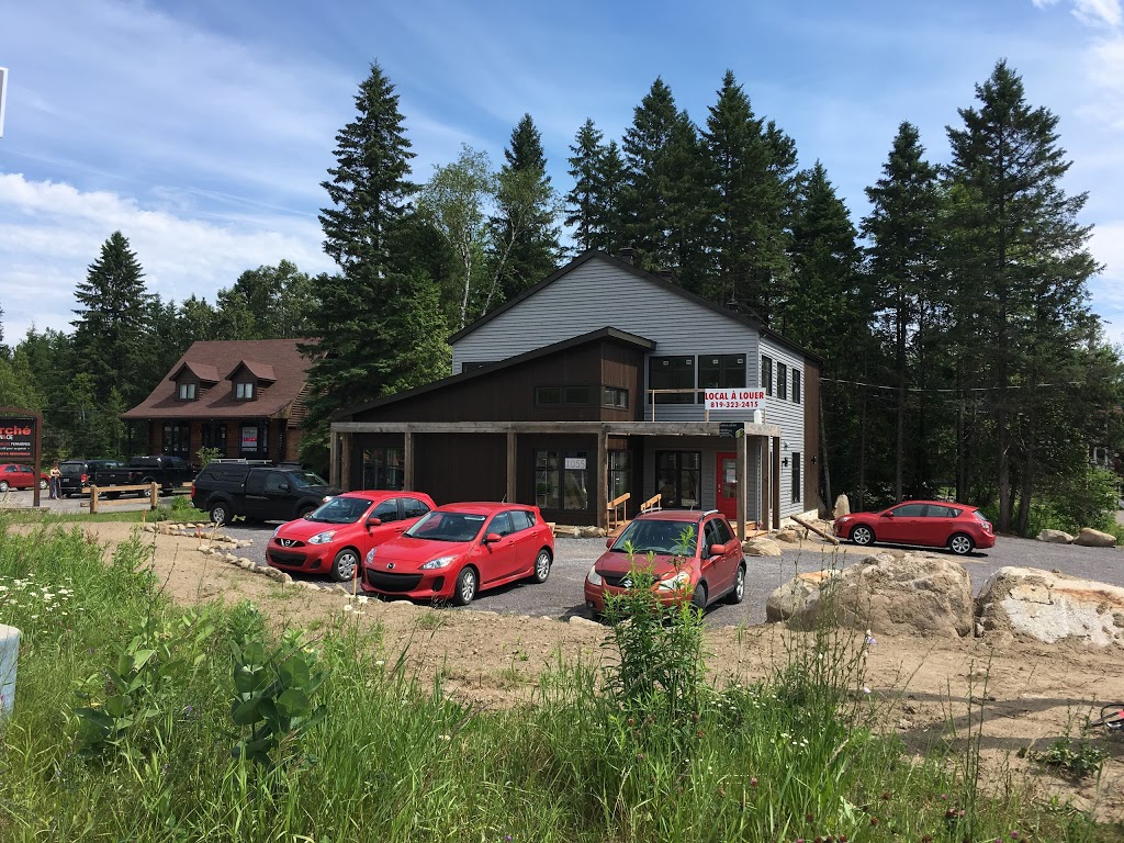 Ostéopathie Audrey Limoges | 1055 QC-117 #102, Val-David, QC J0T 2N0, Canada | Phone: (514) 247-4522