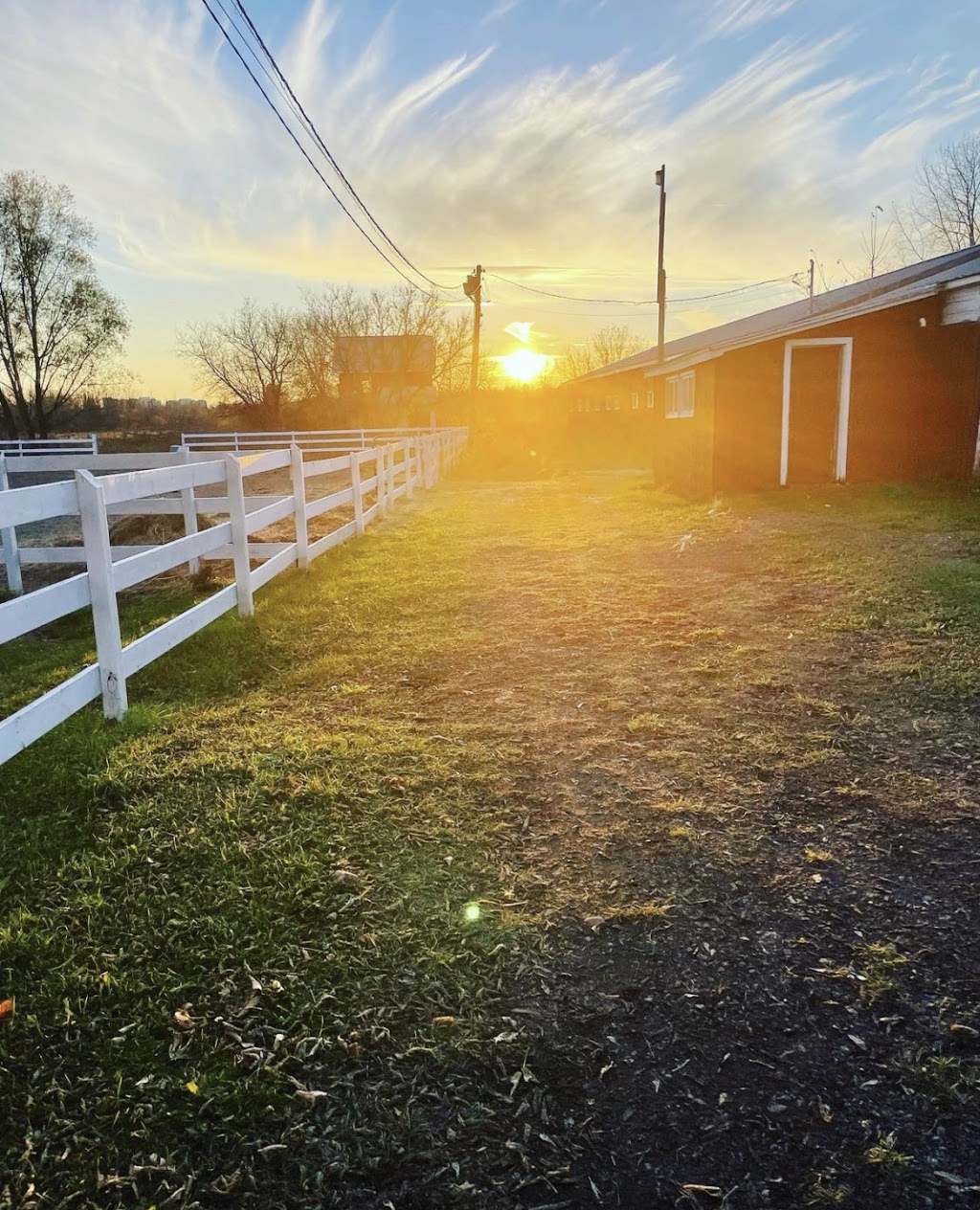 Royale Ranch | 3960 Albion Rd S, Gloucester, ON K1T 1B4, Canada | Phone: (613) 882-0516