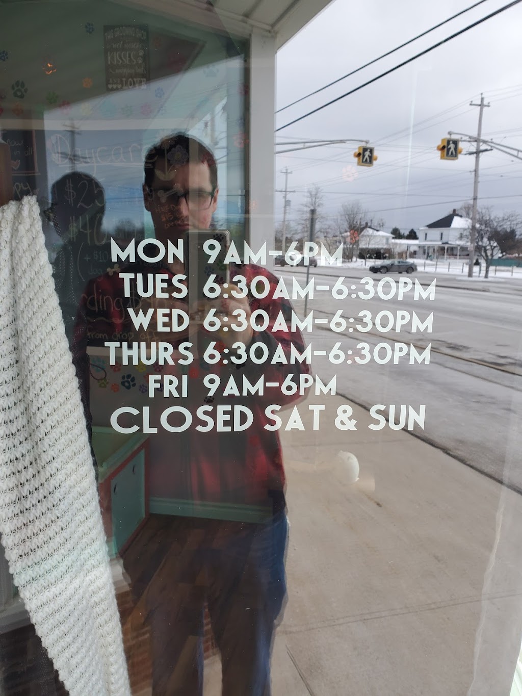 Puppies Breath Parlour | 527 Main St, Kingston, NS B0P 1R0, Canada | Phone: (902) 309-1608