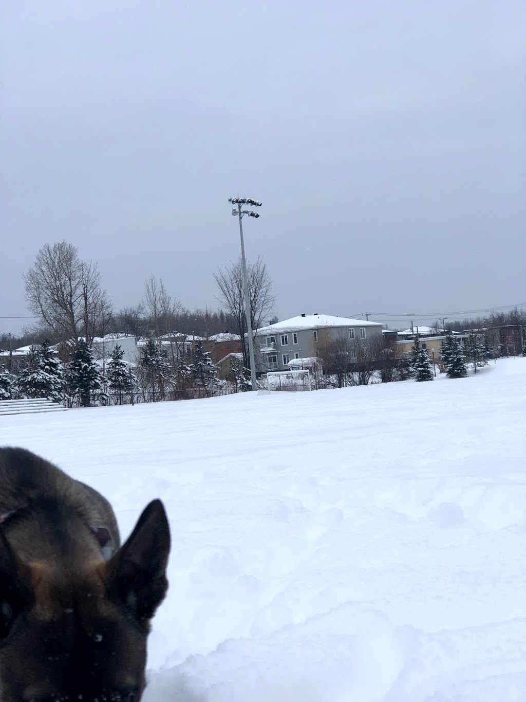 Parc Les Primevères | 1459 Rue Félix Antoine Savard, Québec, QC G2G 1C2, Canada