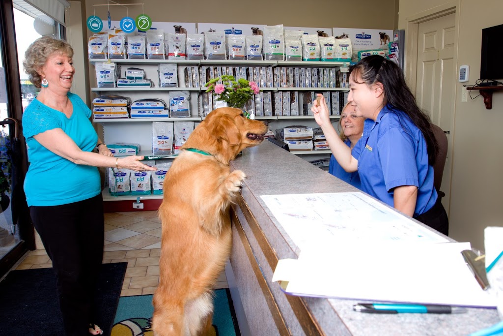 Markham Veterinary Clinic | 6605 Hwy 7 #13/14, Markham, ON L3P 7P1, Canada | Phone: (905) 294-0522