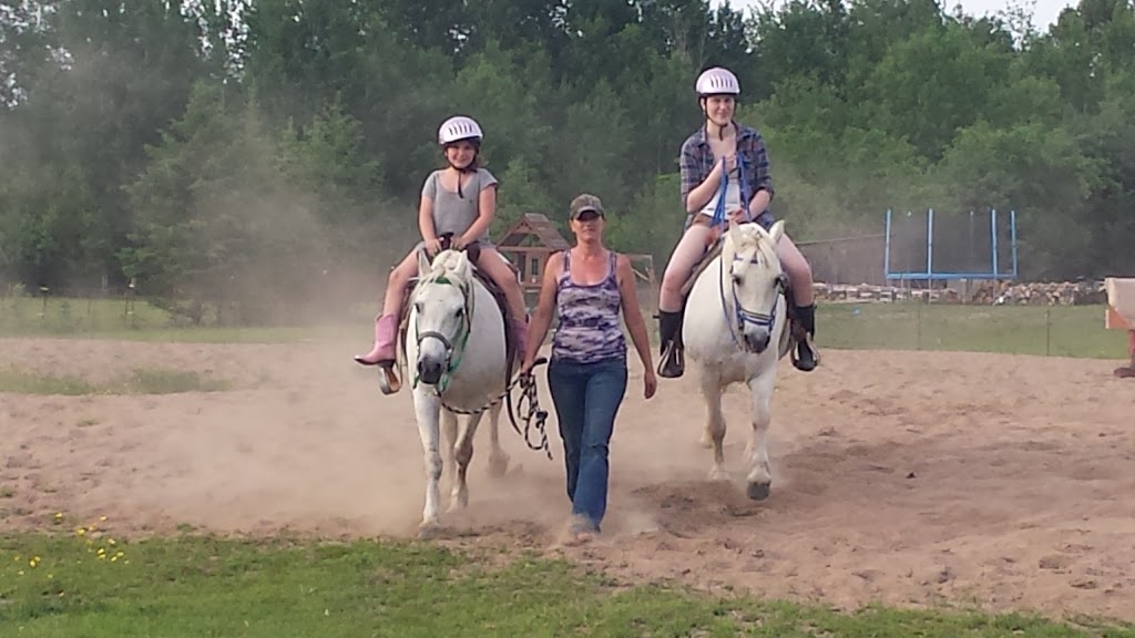 Willis Ranch & Stables | 288 White Water Rd, Pembroke, ON K8A 6W4, Canada | Phone: (613) 732-5645