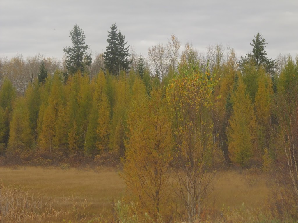 Hanmore Lake Campground | Smoky Lake, AB T0A 3C0, Canada | Phone: (780) 656-6580