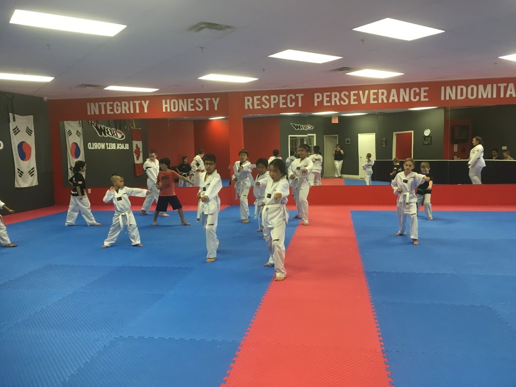 Black Belt World Barrie East | 201 Hurst Dr #6, Barrie, ON L4N 8K8, Canada | Phone: (705) 812-8007
