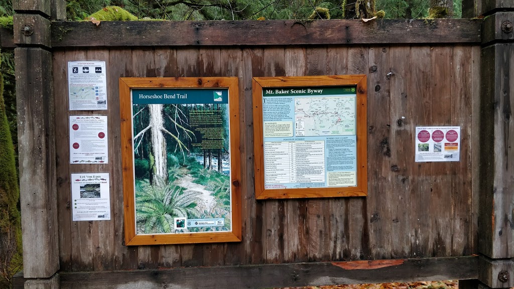 Douglas Fir Campground | Mt Baker Hwy, Deming, WA 98244, USA | Phone: (541) 338-7869