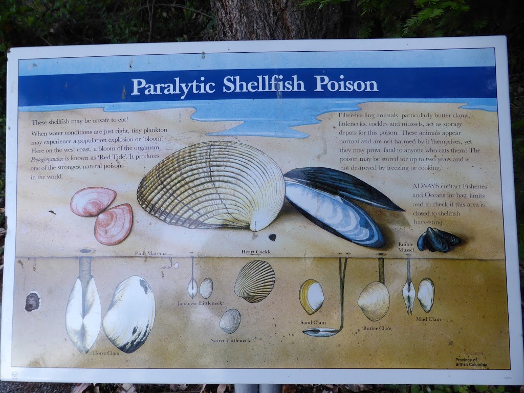 Bamberton Provincial Park | Cowichan Valley F, BC V0R 2P4, Canada