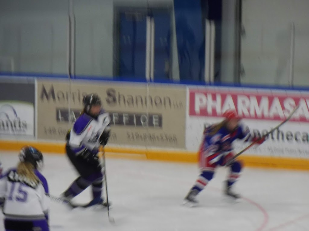 Elora Arena | 60 David St W, Elora, ON N0B 1S0, Canada | Phone: (519) 846-0411