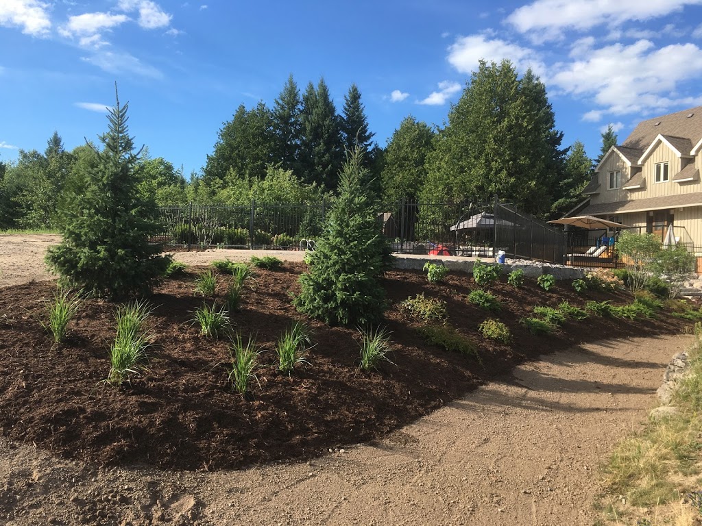 Steve Mattless Landscaping Ltd. | 1165 County Rd 28, Fraserville, ON K0L 1V0, Canada | Phone: (705) 749-1559