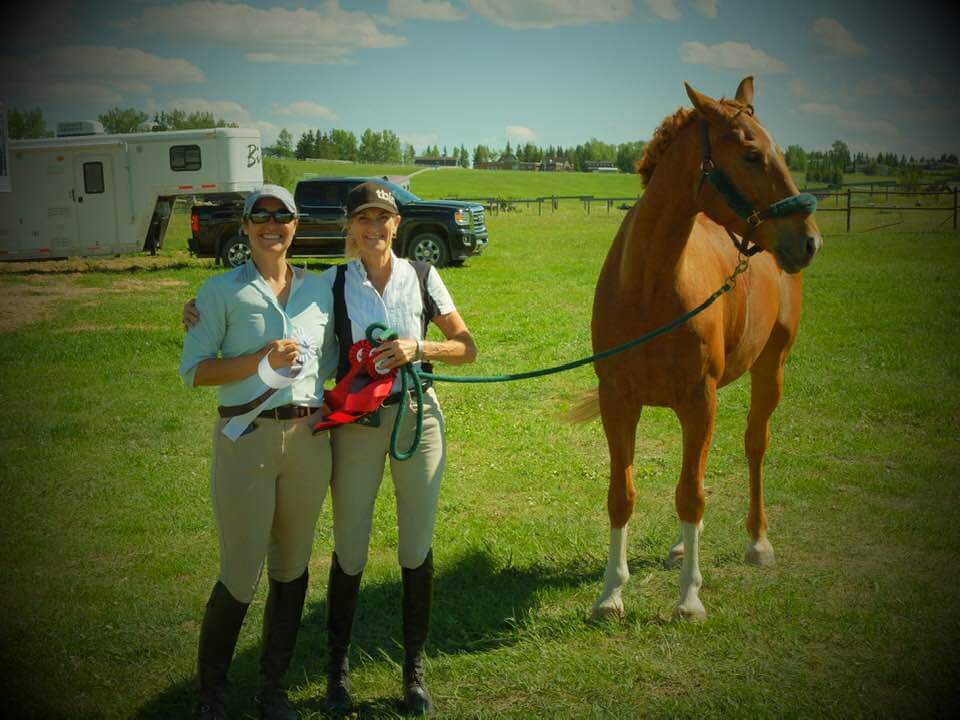 Nowell Equine | 274188, Range Rd 20, AB T4B 4M4, Canada | Phone: (403) 996-4456