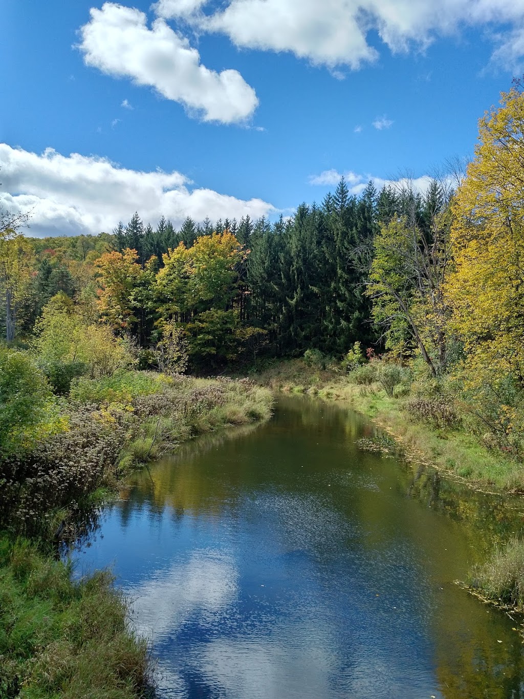Gatineau Park Visitor Centre | 33 Chemin Scott, Chelsea, QC J9B 1R5, Canada | Phone: (819) 827-2020