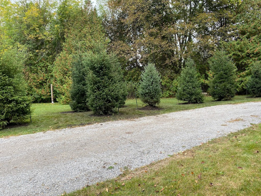 TEG Contracting | 121 King St, Woodville, ON K0M 2T0, Canada | Phone: (705) 464-0023