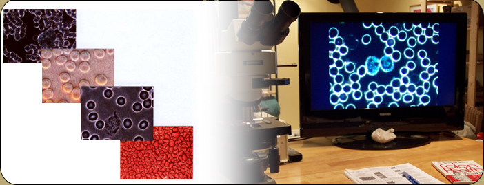 Tay BodyWorks | 11 Robinson St, Perth, ON K7H 2E3, Canada | Phone: (613) 267-1220