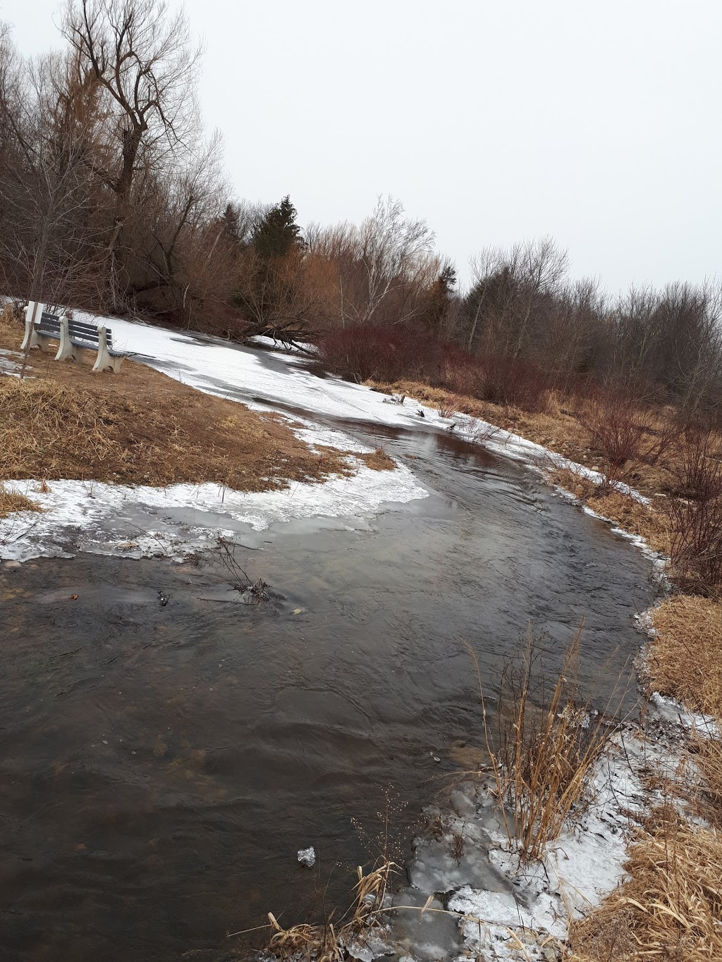Courtcliffe Park | 159 Carlisle Rd, Carlisle, ON L0R 1H0, Canada