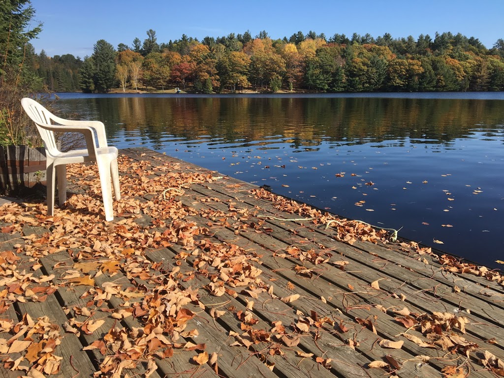 Eagles Rest Cabin & Boat Rentals | 5373 Centennial Lake Rd, Greater Madawaska, ON K0J, Canada | Phone: (613) 639-4949