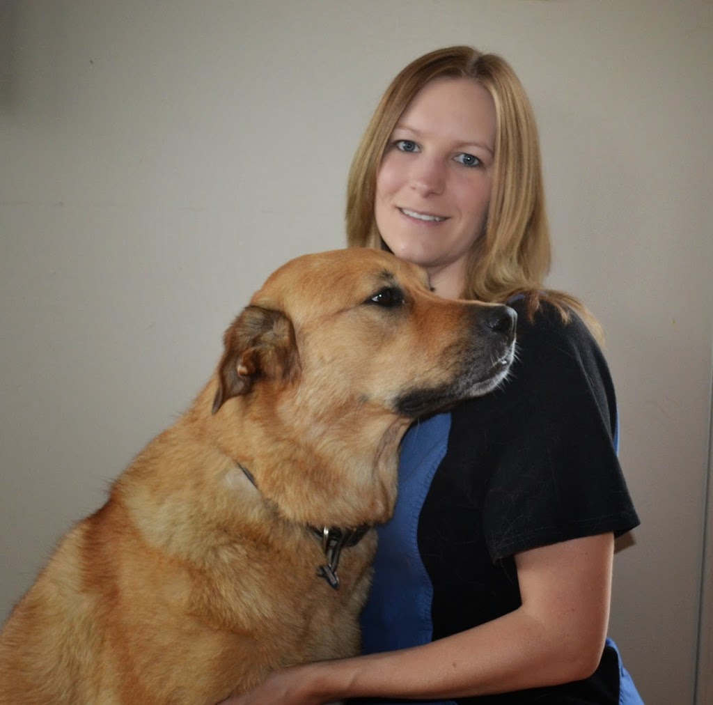 Landing Animal Clinic | 1600 90 Ave SW c155, Calgary, AB T2V 5A8, Canada | Phone: (403) 255-7735