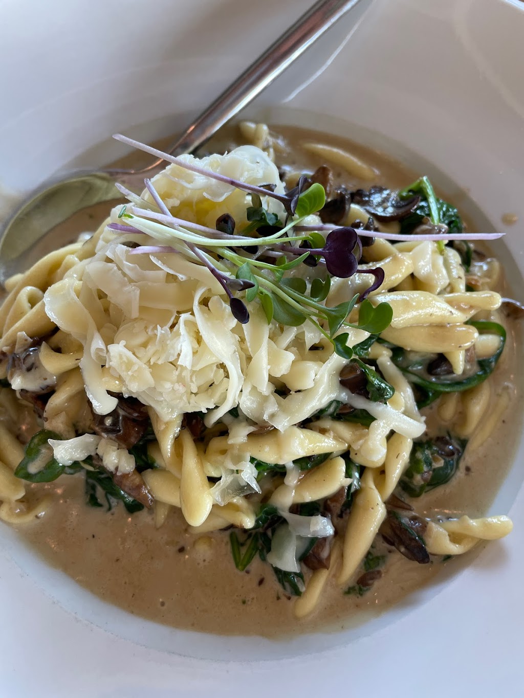 Vaticano Cucina | 10310 45th Ave NW, Edmonton, AB T6H 5K3, Canada | Phone: (780) 250-1110