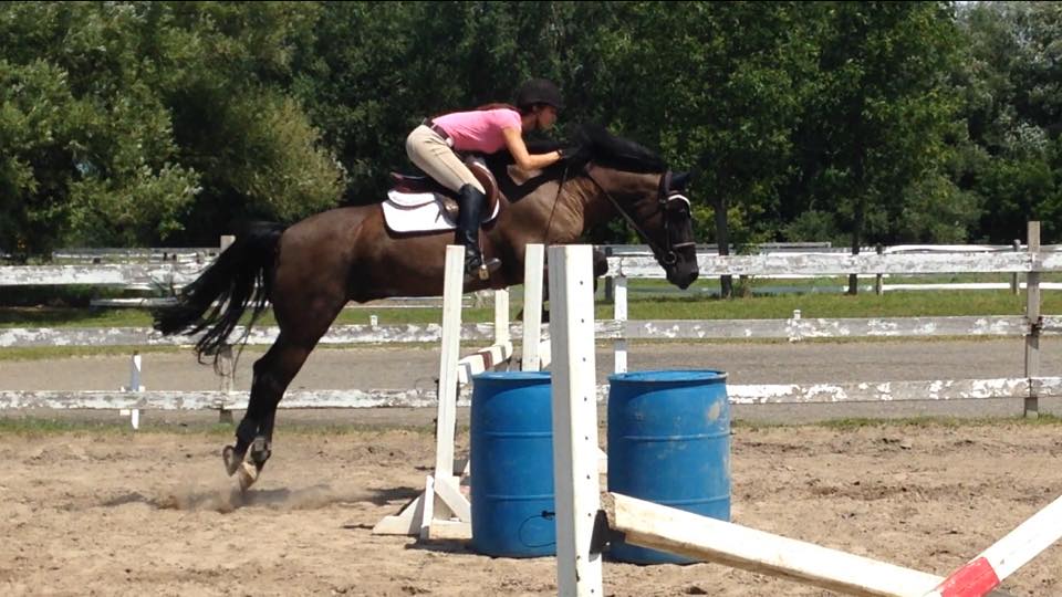 Cavalli Equestrian Center | 4900 Chemin Bellerive, Carignan, QC J3L 1P3, Canada | Phone: (514) 814-6718