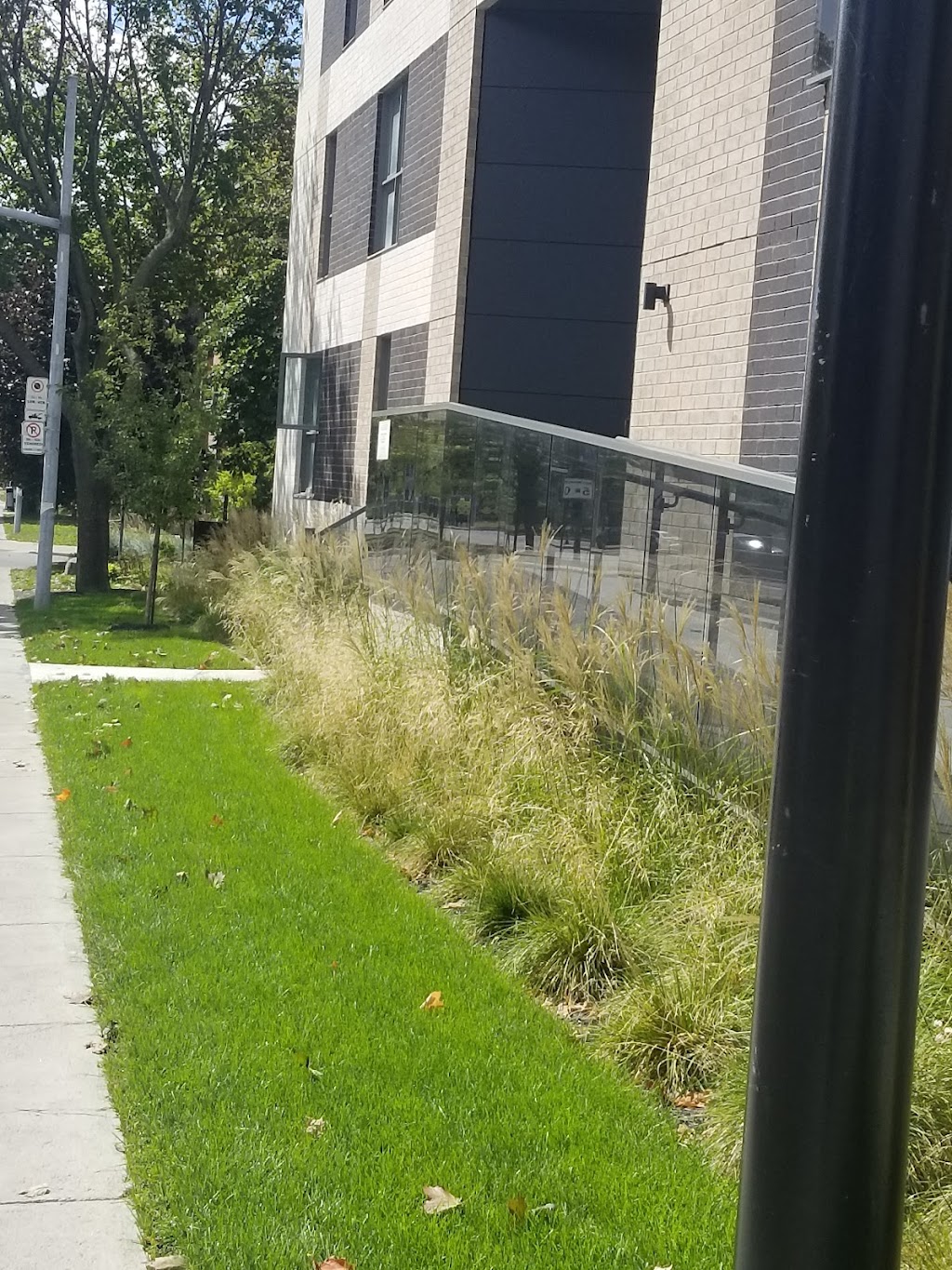 Le DeRome | 3741 Boul Henri-Bourassa E #405, Montréal-Nord, QC H1H 1J9, Canada | Phone: (438) 375-4329