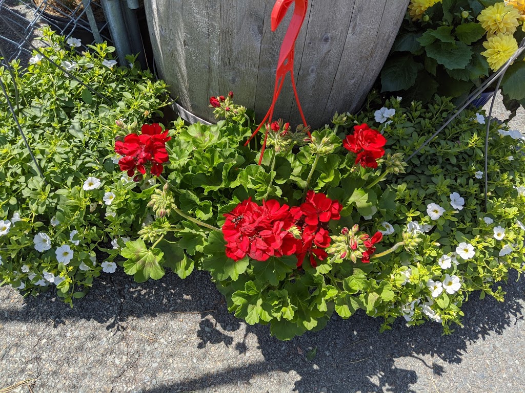 Francis Your Independent Grocer | 143 Victoria Road, Lunenburg, NS B0J 2C0, Canada | Phone: (902) 634-3751