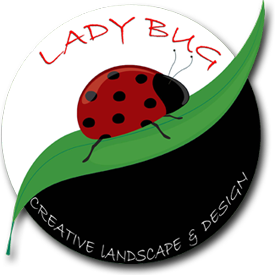 Lady Bug Creative Landscape and Design | 143 Parkland Green SE, Calgary, AB T2J 3X6, Canada | Phone: (403) 771-7377