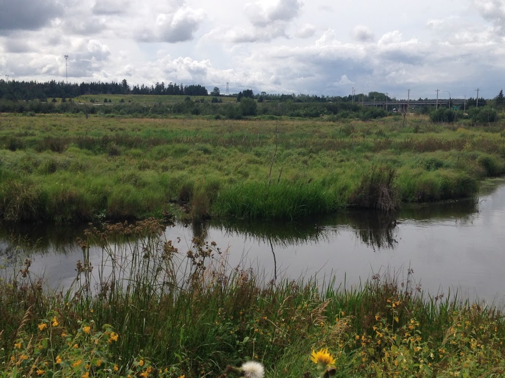 Brookfield Wetland & Nature Trail | Brookfield Wetlands Trail, Brookfield, NS B0N 1C0, Canada
