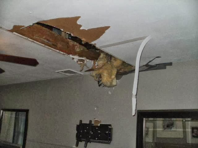 Gary C. Gable Professional Adjusters, Inc. | 2829 Wehrle Dr #5a, Buffalo, NY 14221, USA | Phone: (716) 856-6561