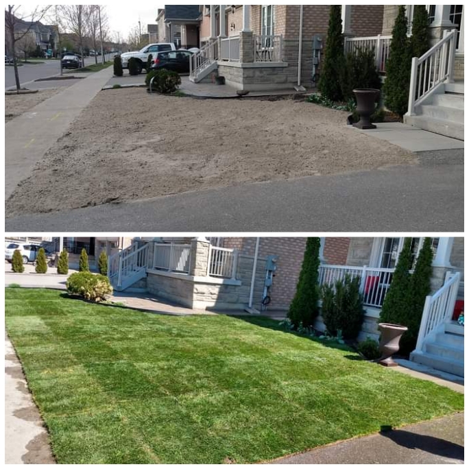Puravida green | 369 Vodden St E, Brampton, ON L6V 1N5, Canada | Phone: (416) 937-6986
