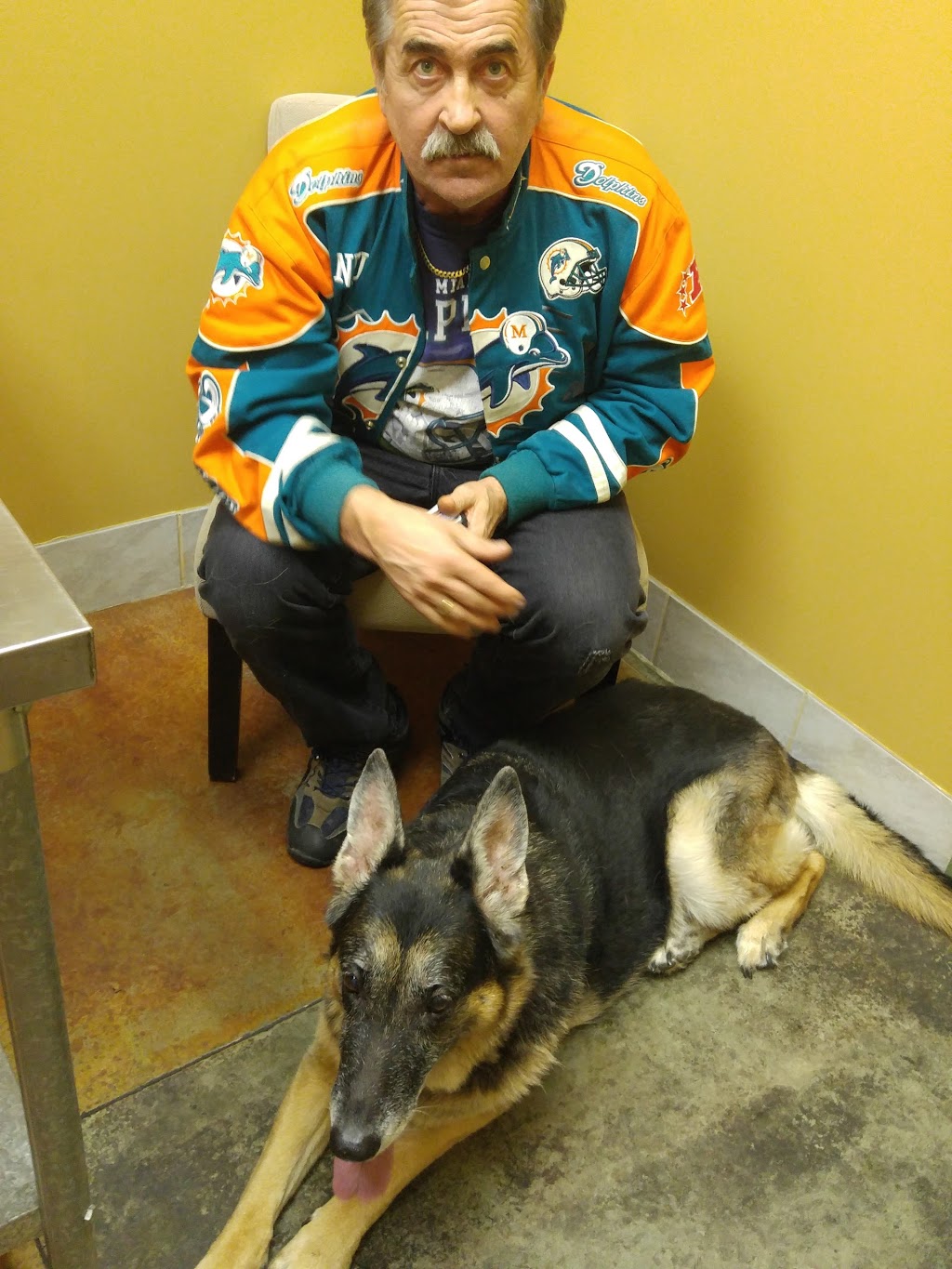 Victoria Road Animal Hospital | 222 Victoria Rd S, Guelph, ON N1E 5R1, Canada | Phone: (519) 763-9990