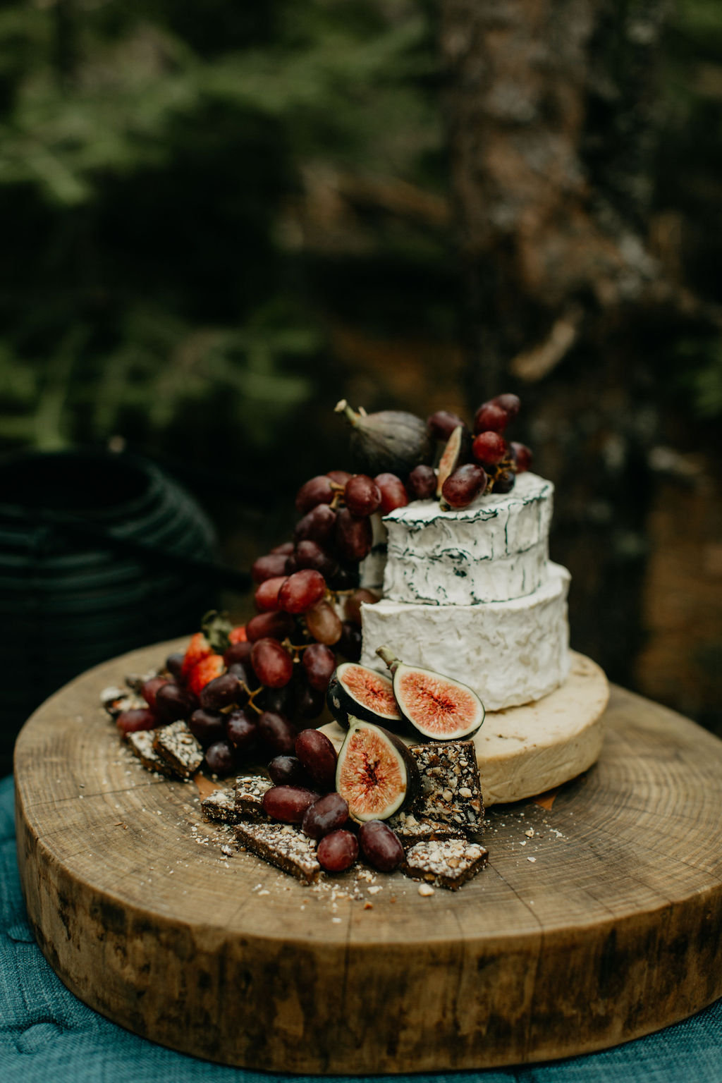 Cest Cheese Please! | 40 Grand Ave N, Cambridge, ON N1S 2K8, Canada | Phone: (519) 624-9642