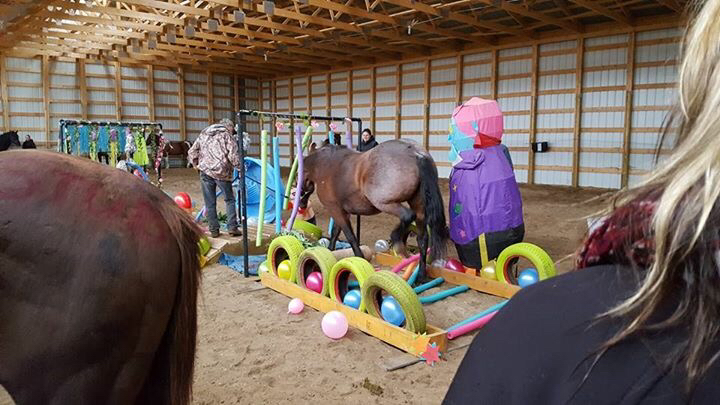 Slickfork Ranch | Touchwood No. 248, SK S0A 3G0, Canada | Phone: (306) 835-2277