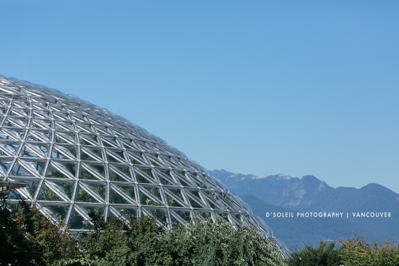 Queen Elizabeth Park Celebration Pavilion | Queen Elizabeth Park, Vancouver, BC V5Y 2M4, Canada | Phone: (604) 654-0780