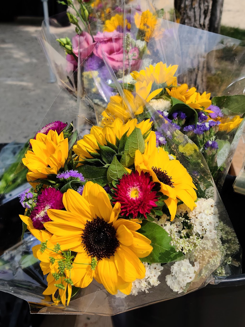 East St. Paul Farmers Market | 302 Hoddinott Rd, East Saint Paul, MB R2E 0H7, Canada | Phone: (204) 668-8336