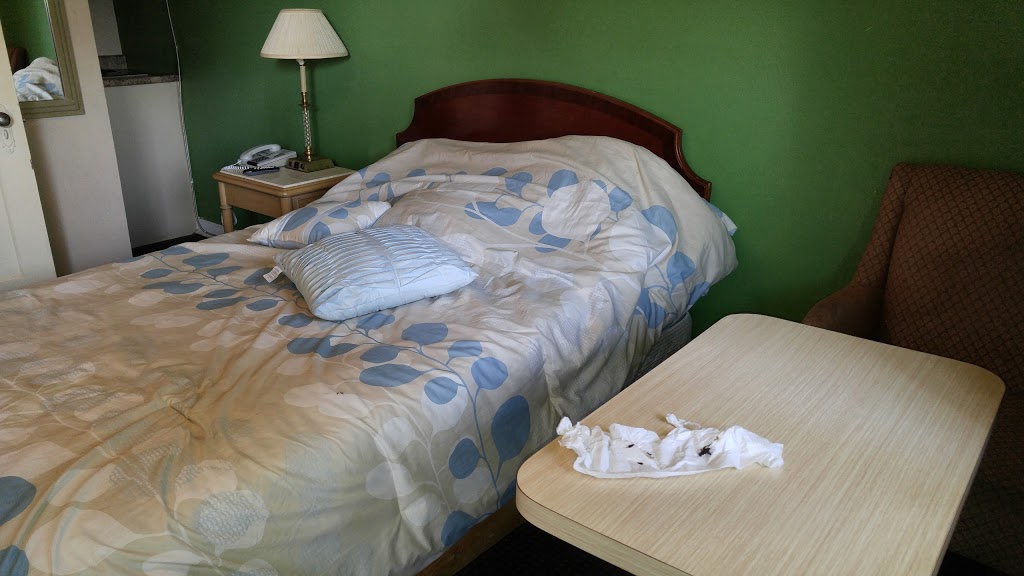 Palace Inn Motel | 1665 London Line, Sarnia, ON N7W 1B1, Canada | Phone: (519) 542-7716