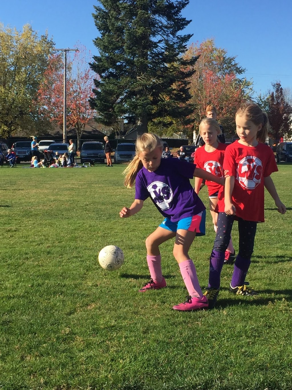 Bender Fields - Lynden Parks | 8770 Bender Rd, Lynden, WA 98264, USA | Phone: (360) 354-6717