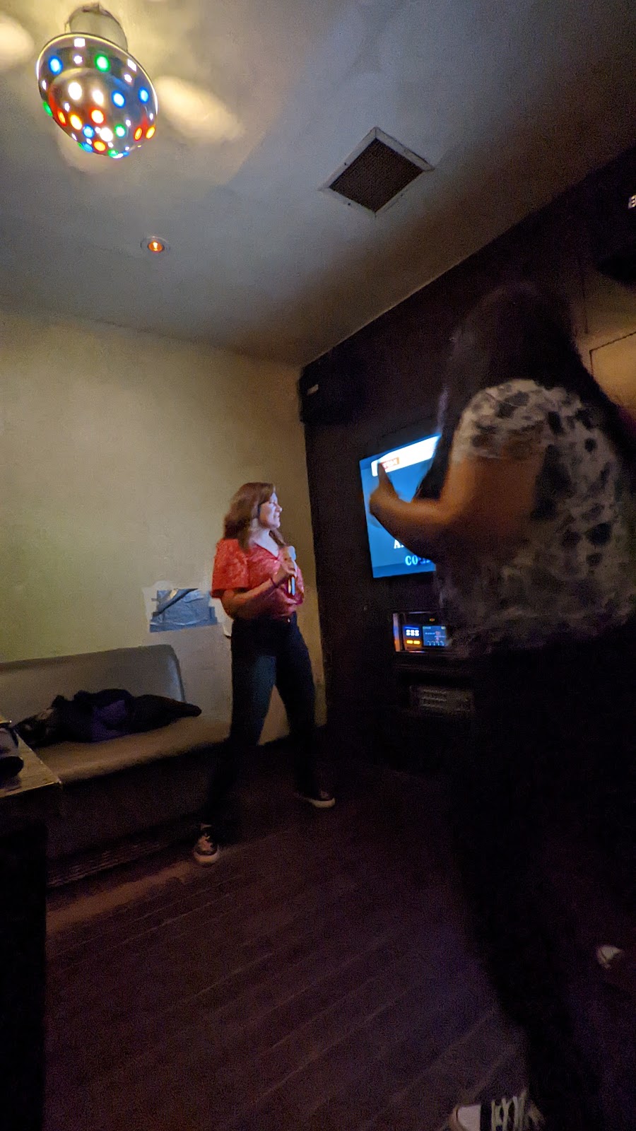 VIP KARAOKE BAR INC | 610 Somerset St W, Ottawa, ON K1R 5K4, Canada | Phone: (613) 680-8847