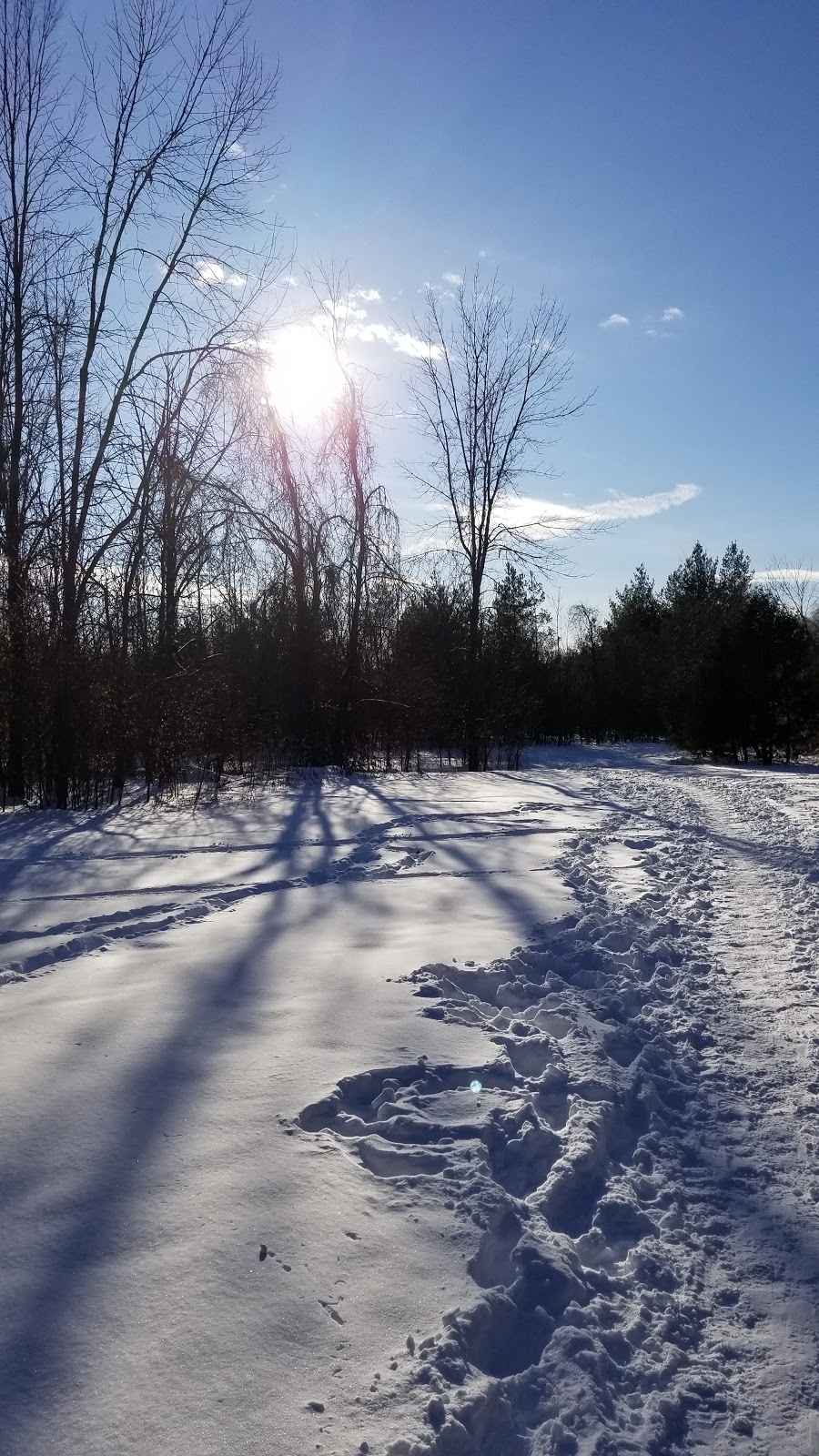Grasshopper Hill Park | 1609 Kilborn Ave, Ottawa, ON K1H, Canada | Phone: (613) 580-2595
